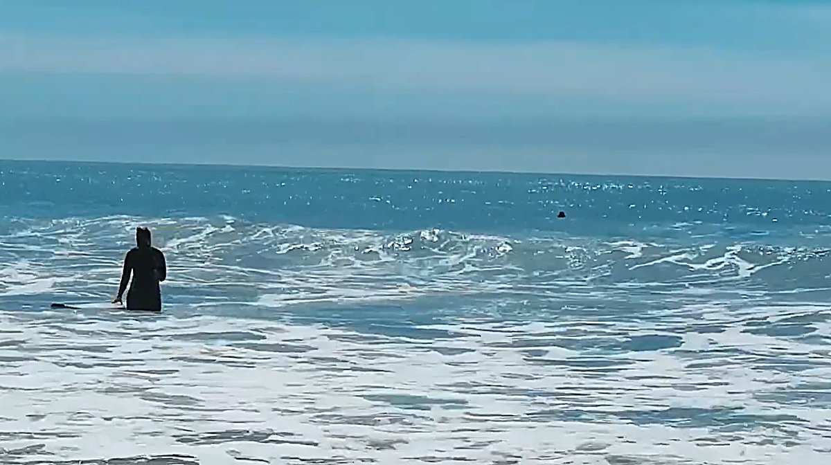 Wading out into glassy, sun-struck whitewater on a bright Canterbury day, Gore Bay surf spot, Kaikoura / North Canterbury, Ne