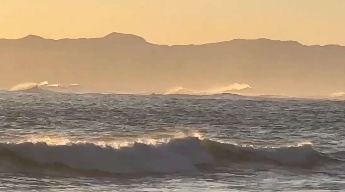 Ngāwī surf, Ngāwī surf spot, Wellington / Wairarapa, New Zealand.