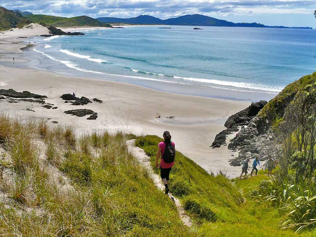 The path down from the dunes, Ocean Beach surf spot, Northland East, New Zealand.