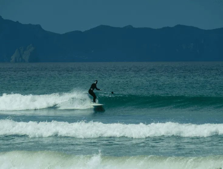 Longboard glide with the Whangaparaoa hills behind, Orewa surf spot, Auckland / Rodney, New Zealand.