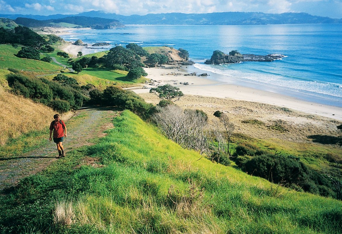 Walking down to the bay from the park track, Tawharanui surf spot, Auckland / Rodney, New Zealand.
