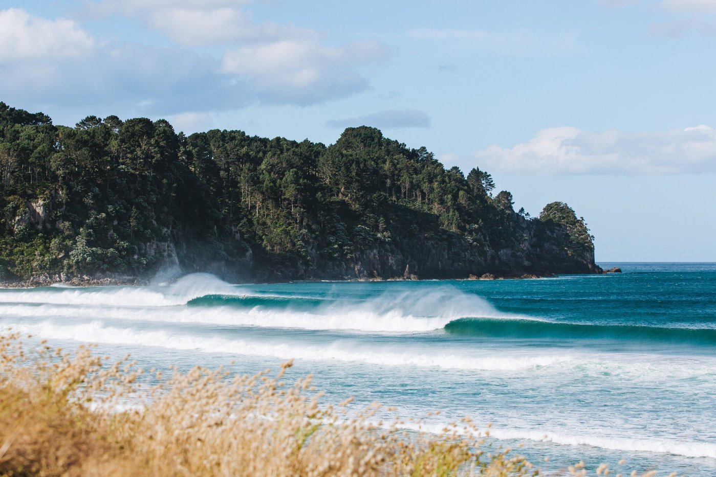 Clean east-coast lines wrapping in under the bush-clad headland. The Coromandel at its best, Whangamatā surf spot, Coromandel